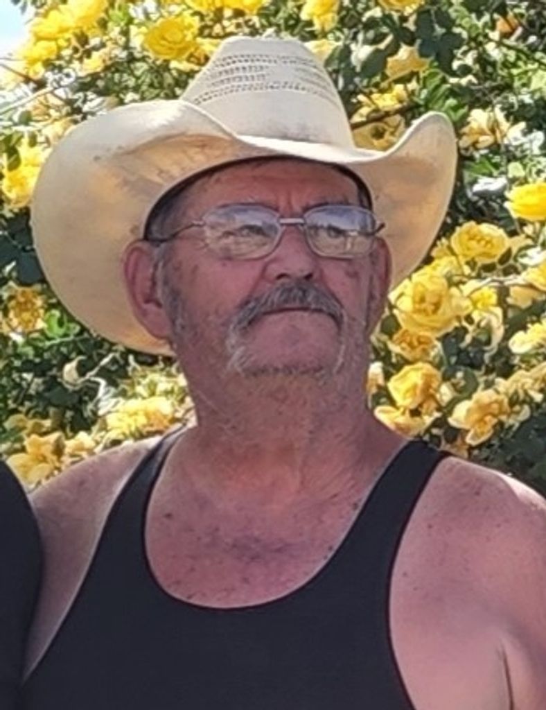 "Bush" Profile Photo