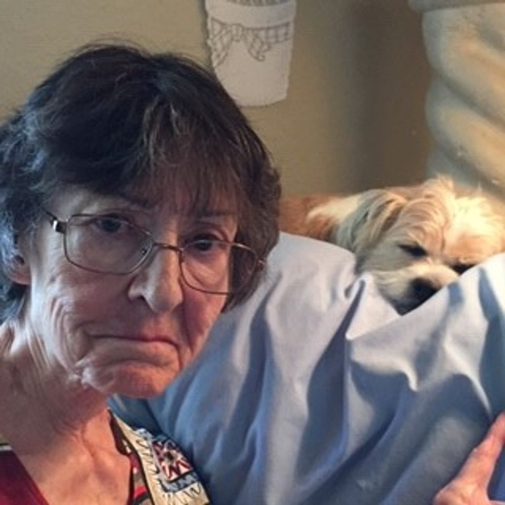 Debra Sue St. John Schmidt Profile Photo