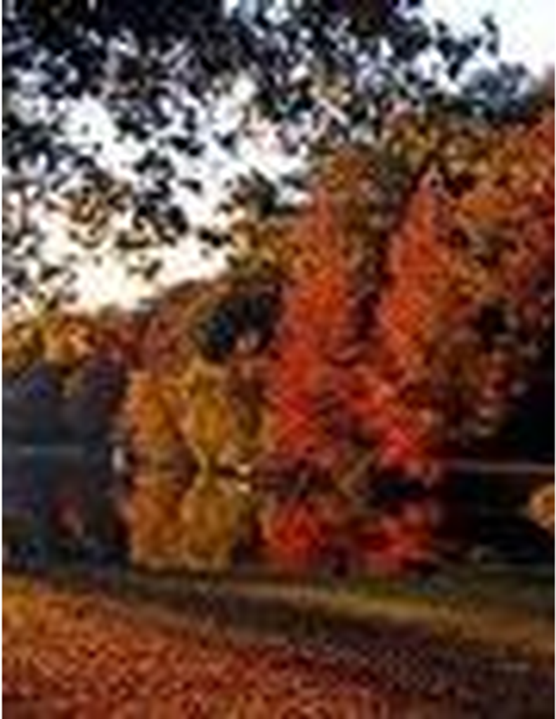 Gail Bess Posey Gaunder