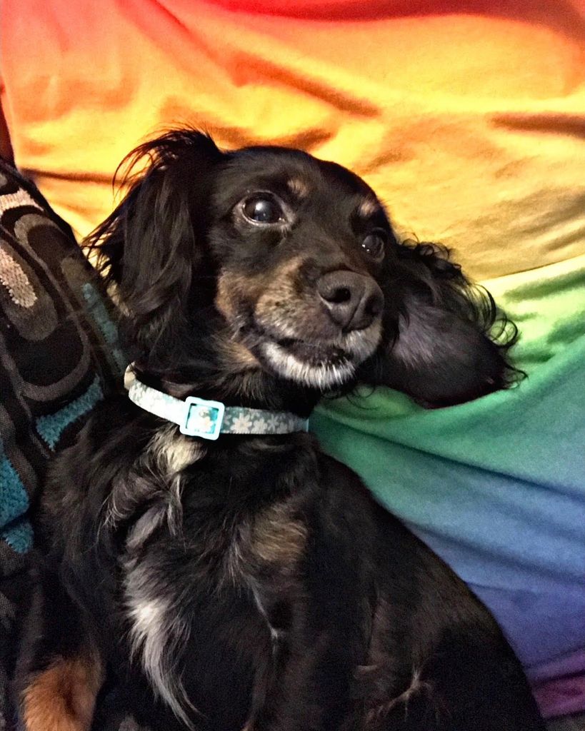 Lucy Profile Photo