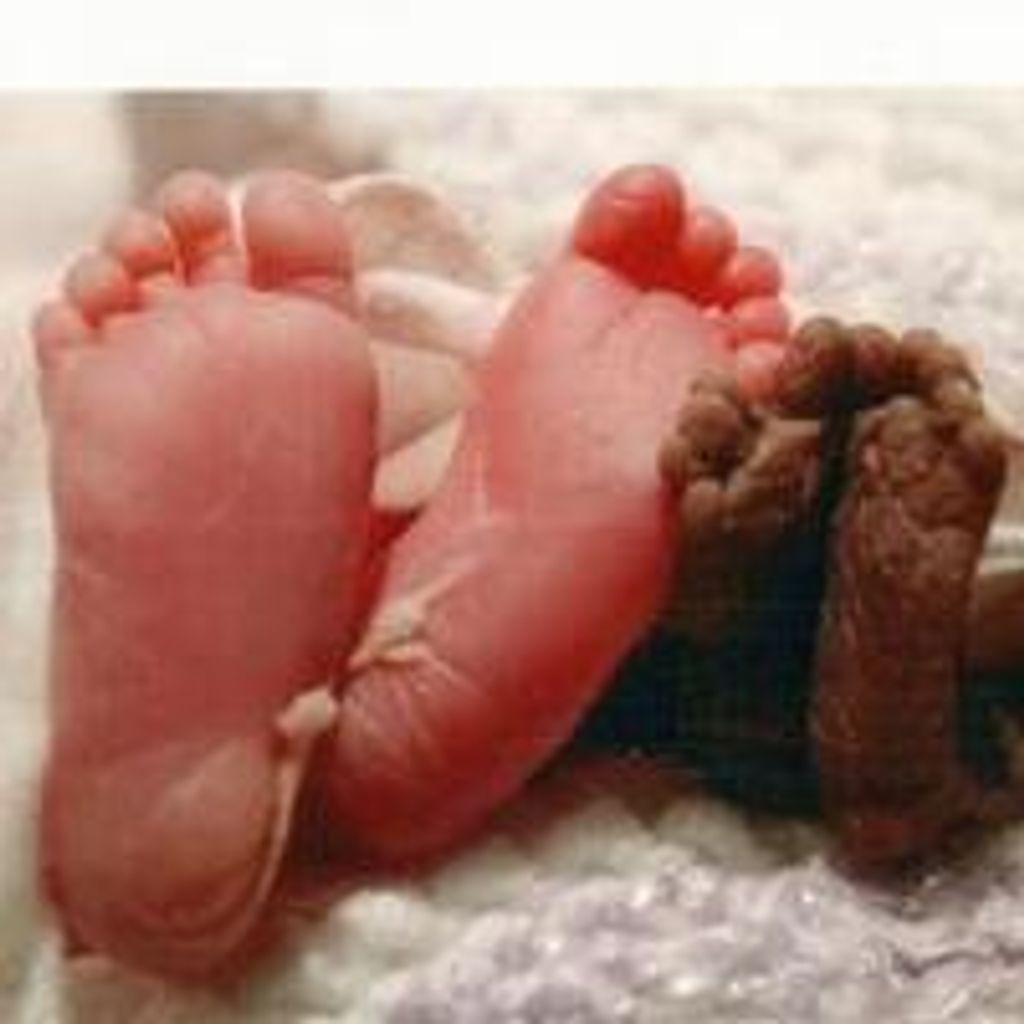 Bexley Faith & Aubree Elora Benson