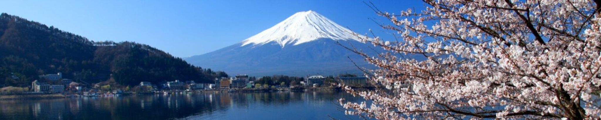 Cover for Hiroki Rice's Obituary