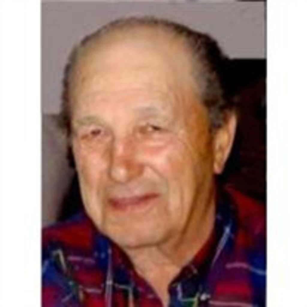 Domenic A. Tessaglia