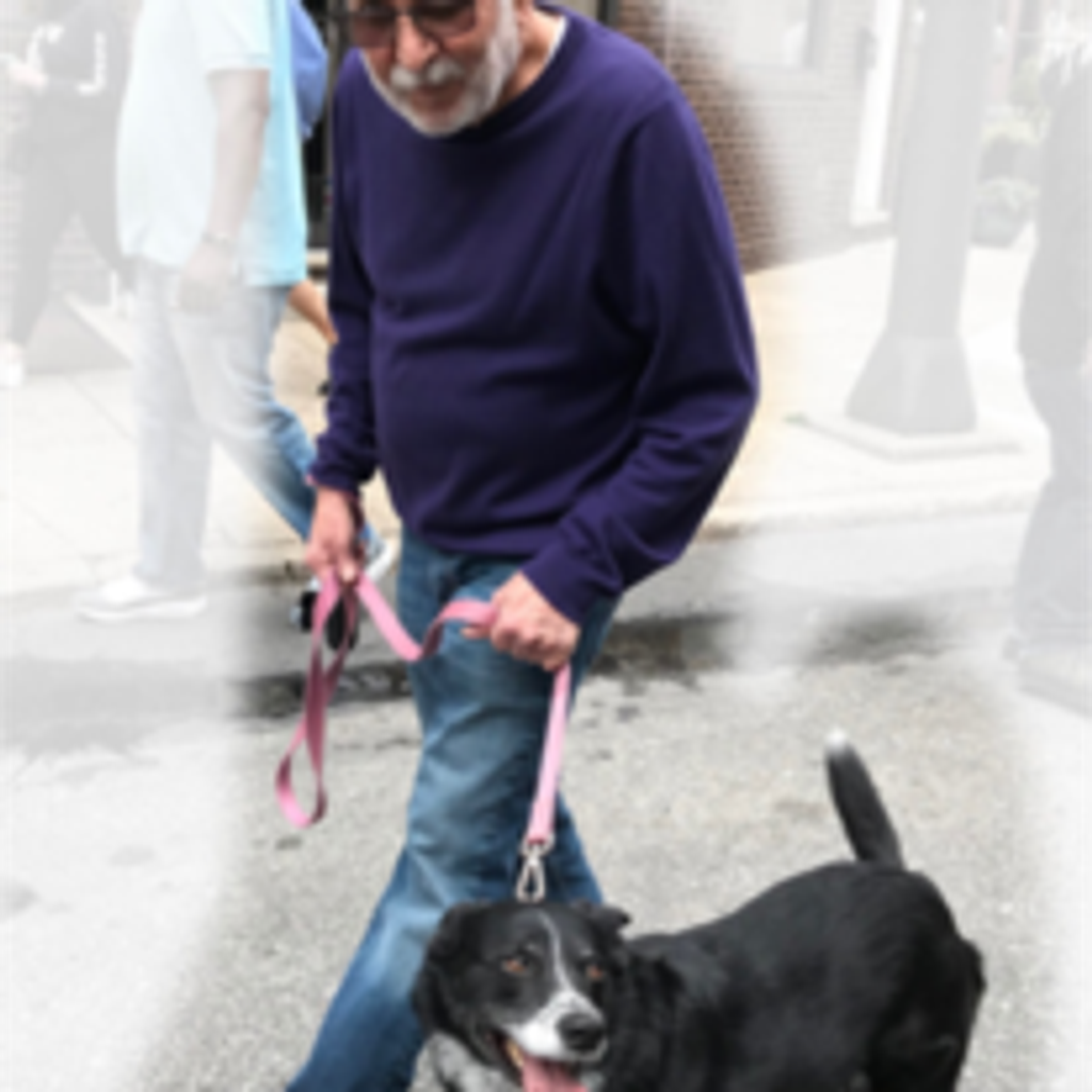 Gerald Gottlieb Profile Photo