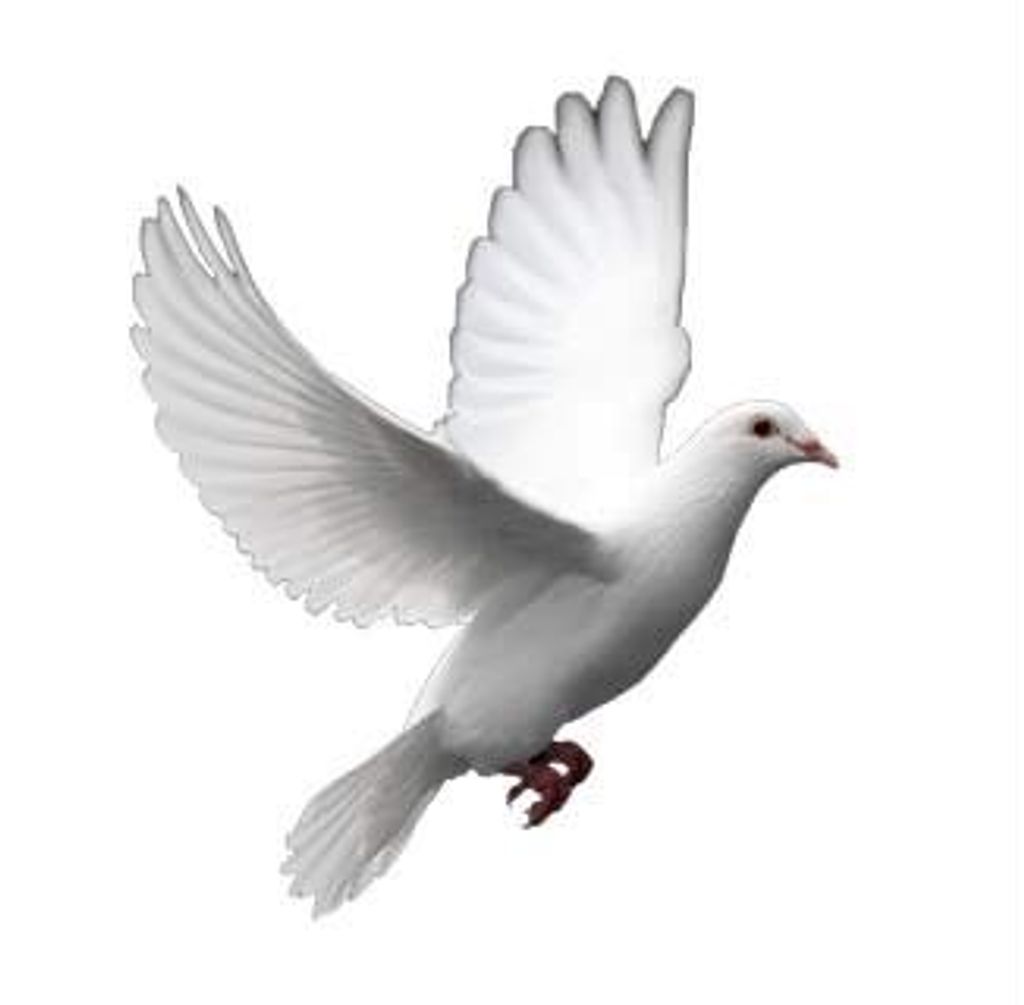 Marilyn M. Pearsall Profile Photo