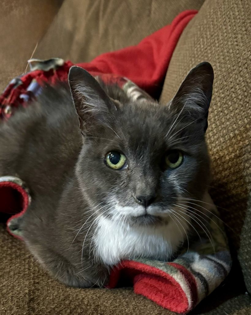 Mittens Humphrey Profile Photo