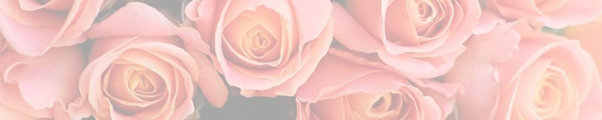 Cover photo for Debra P. Sewell's Obituary