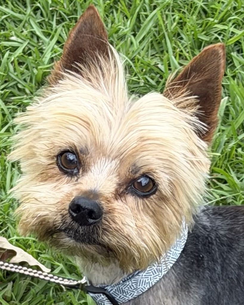 Bentley Martin-Barnett Profile Photo