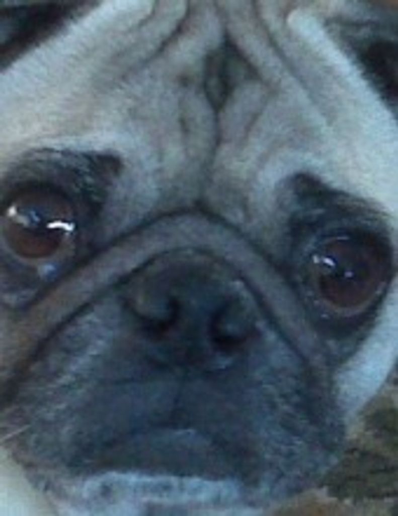 Gus Woodley Profile Photo