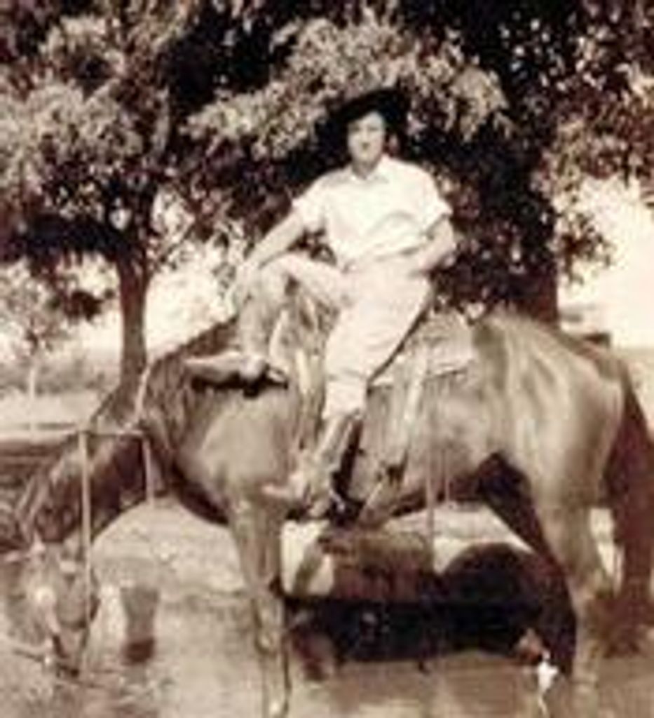Helen J. Stephens Profile Photo