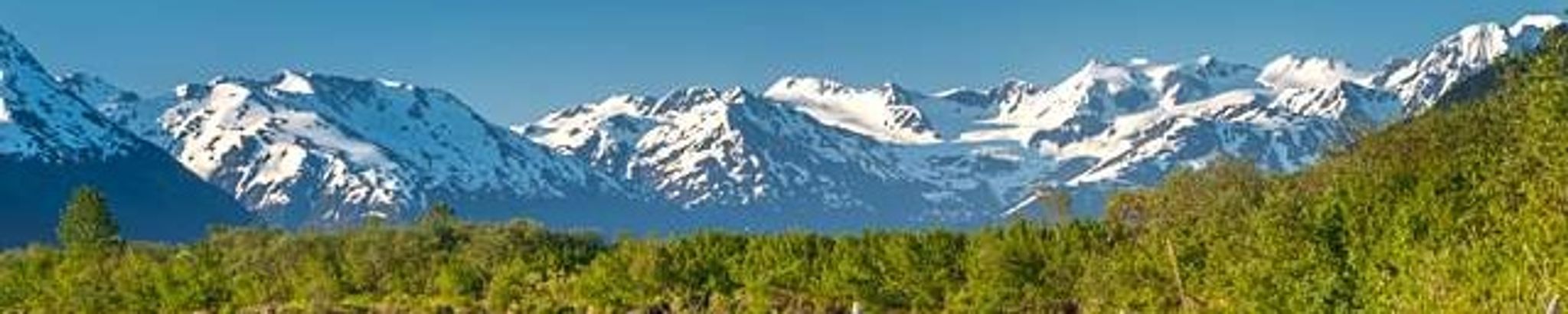 Cover for Maleeta Lucy Wilson's Obituary