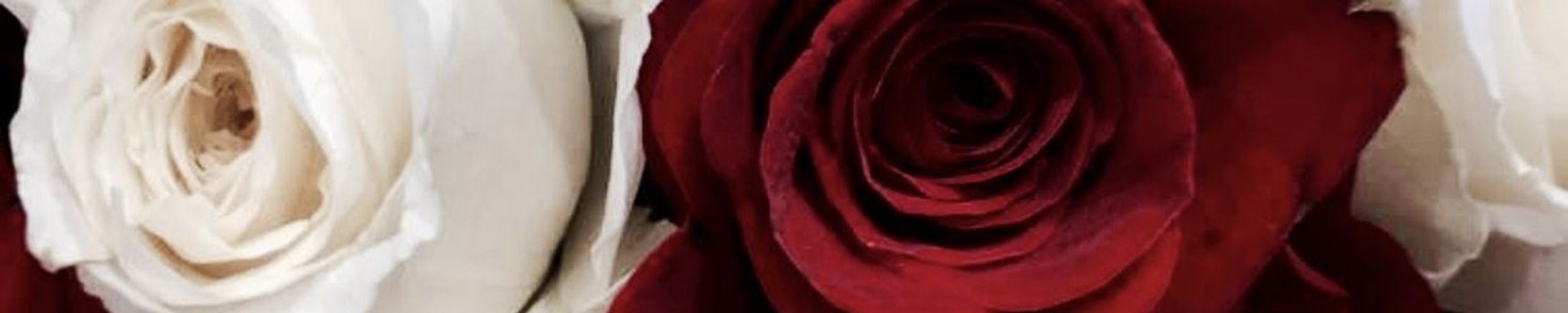 Cover for Laura Mae Roberts's Obituary