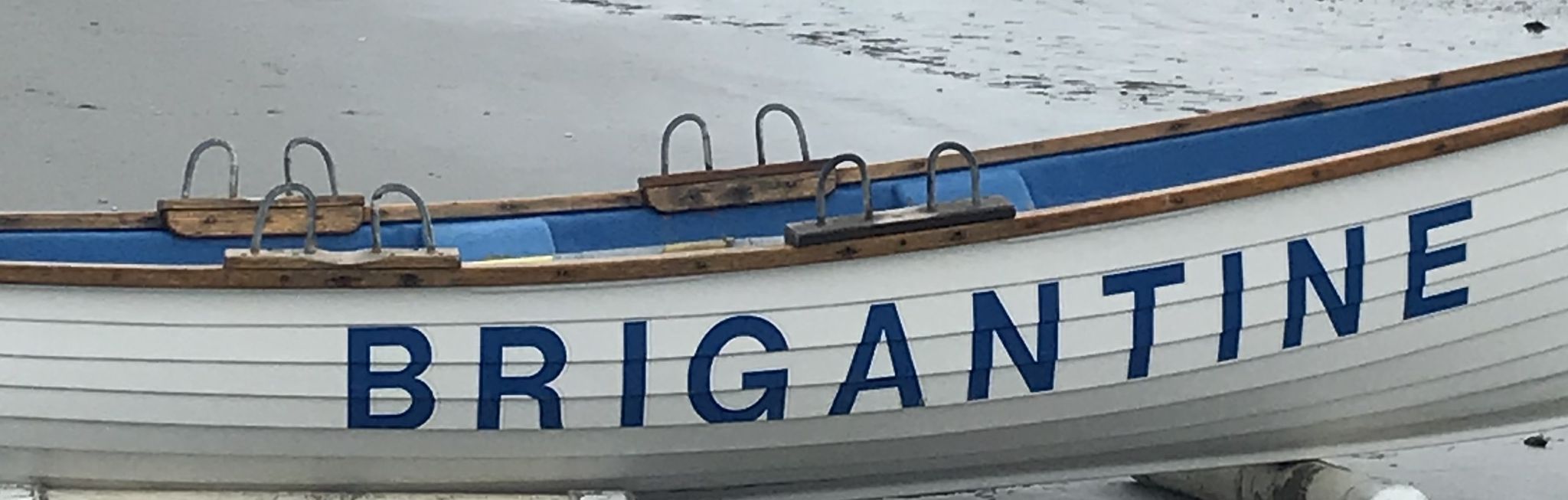 Cover photo for Ann Marie Basden's Obituary
