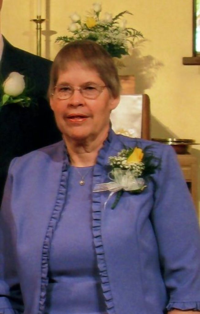 Joan Marie (Willow)  Fohringer