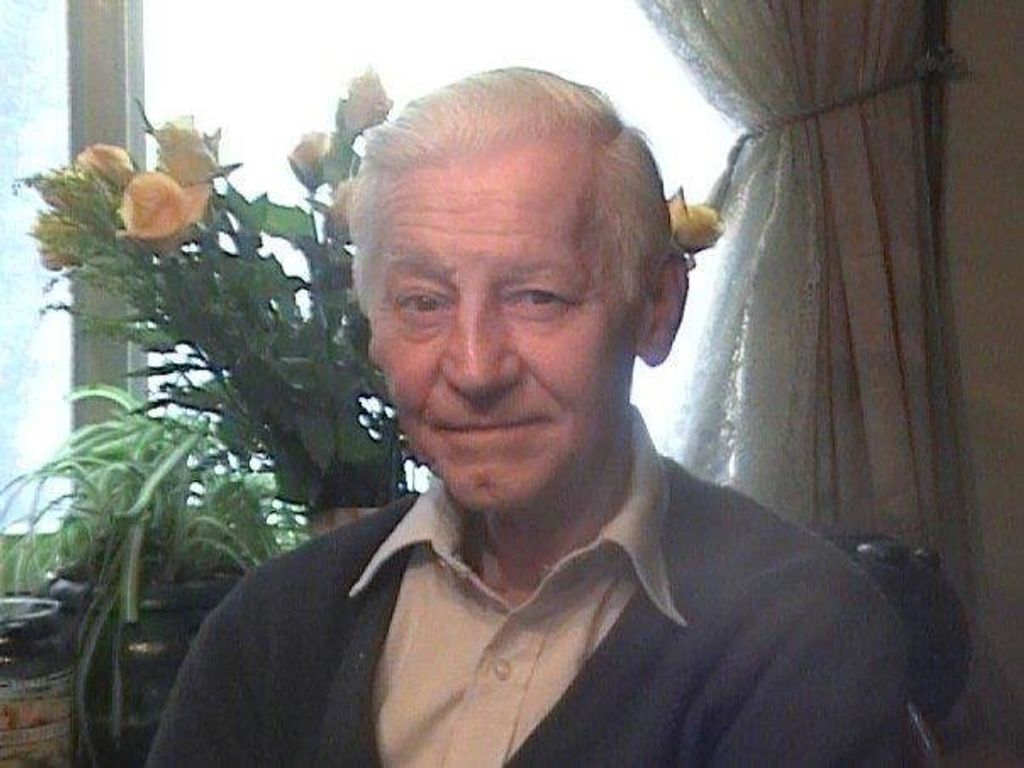 Albion Nowak