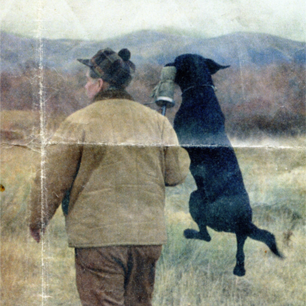 Donald Lovig