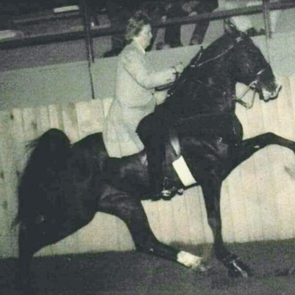 Ann Myatt