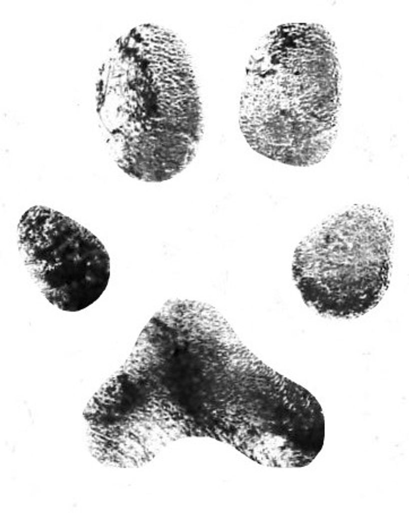 Bella Robinson Profile Photo