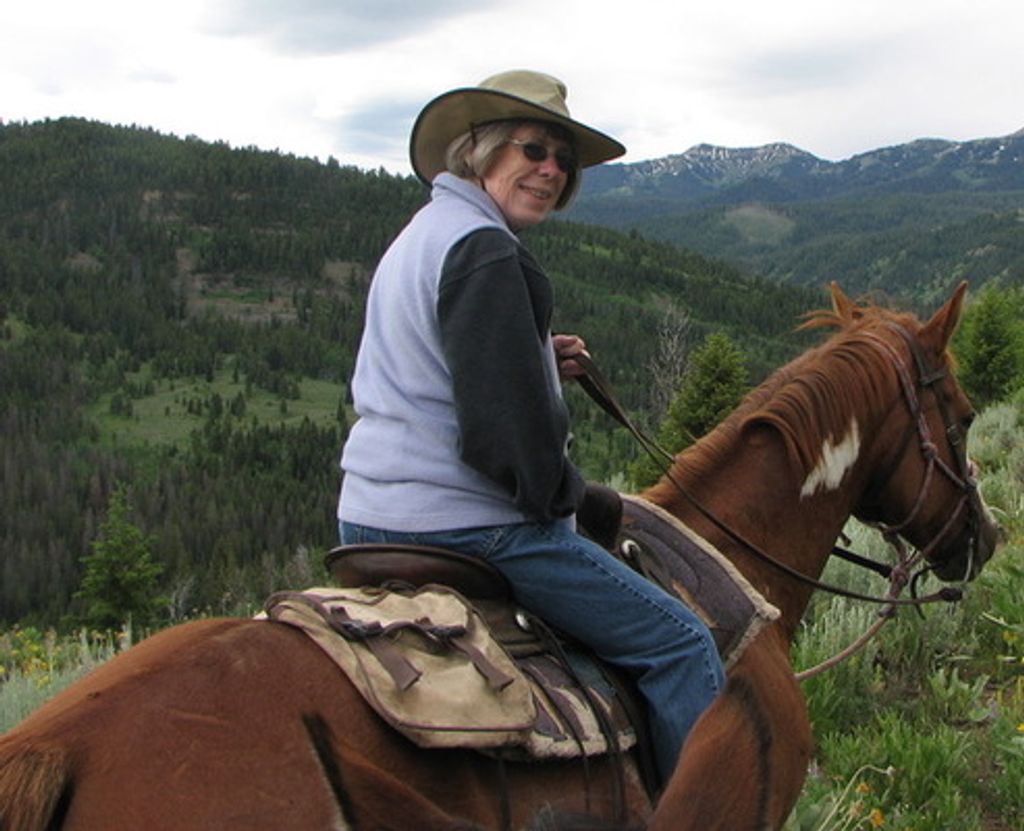 Sue Ann Bauldry Profile Photo