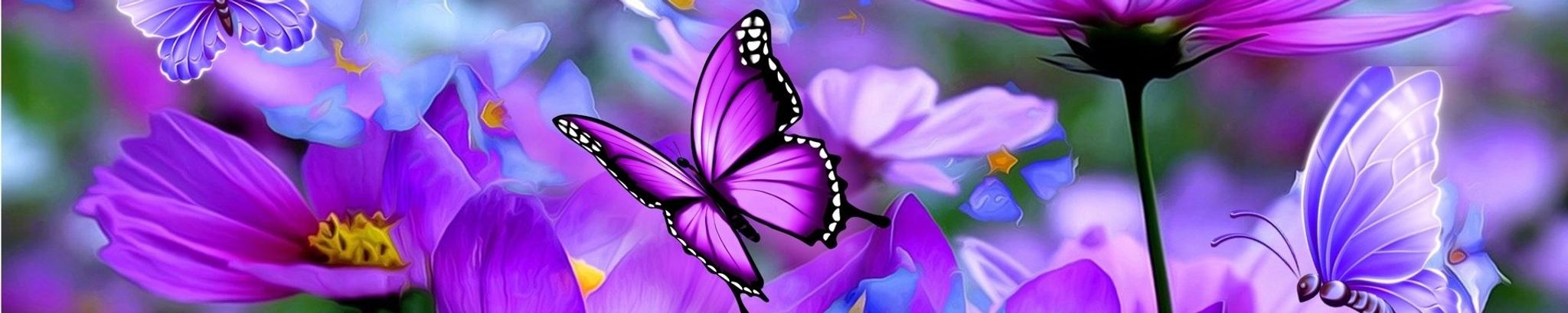 Cover for Carol (Wolff) Knutsen's Obituary