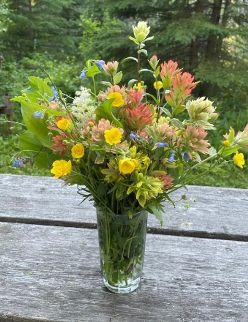 Sheila Adele Toews Profile Photo