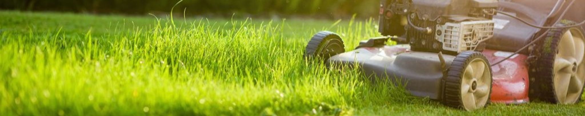 Cover for James C. Dearth's Obituary