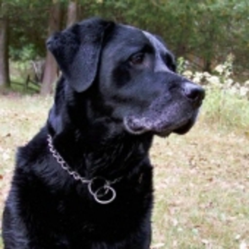 Xiggy Slocum Profile Photo