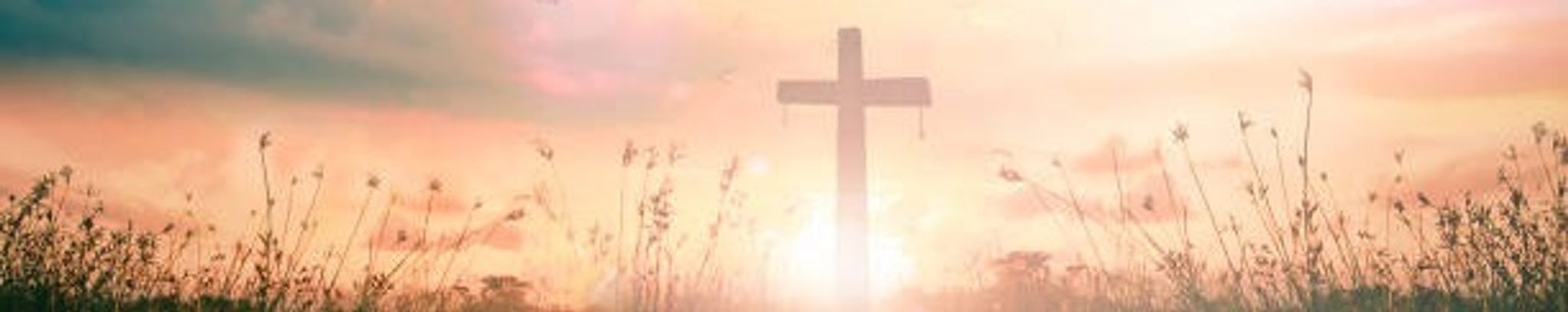 Cover photo for William L. "Billy" Husted III's Obituary