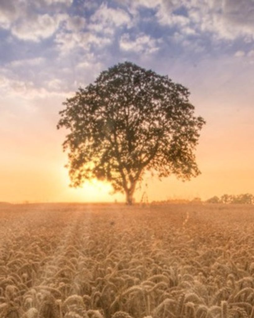 Patrick Isbell Profile Photo