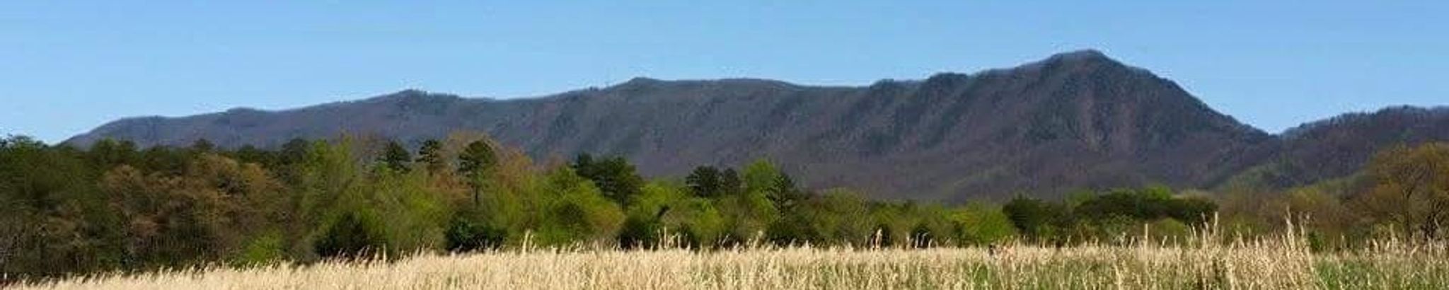Cover photo for Ina Grace Feezel Norris's Obituary