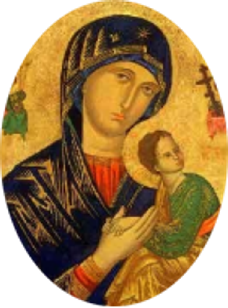 Thomasina D'Amico Profile Photo
