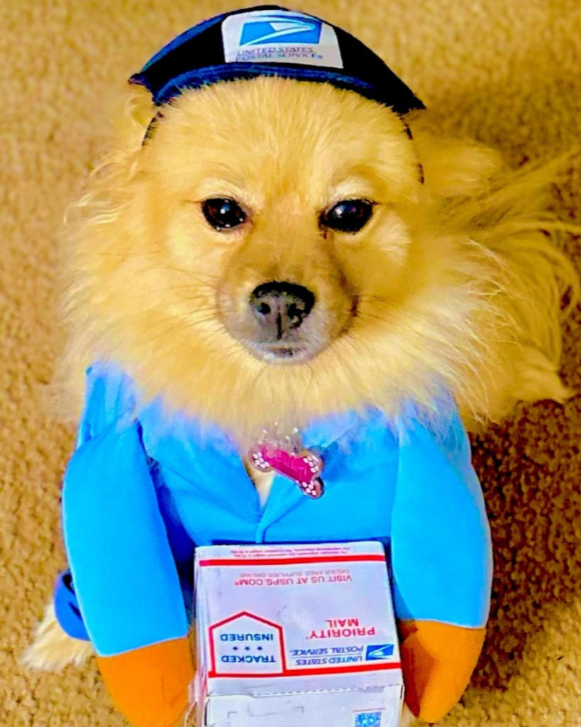 Bella Mason Profile Photo