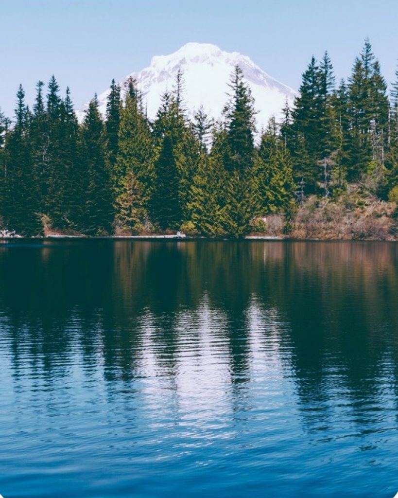 Carol Ann Stanley Profile Photo