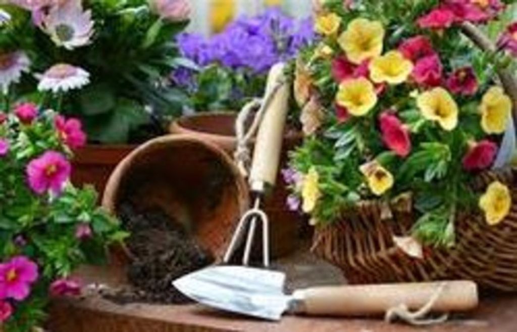 Kathy Marie Donaldson