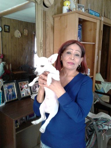 Hermelinda Tabarez Guajardo photo gallery thumbnail 62 of 195