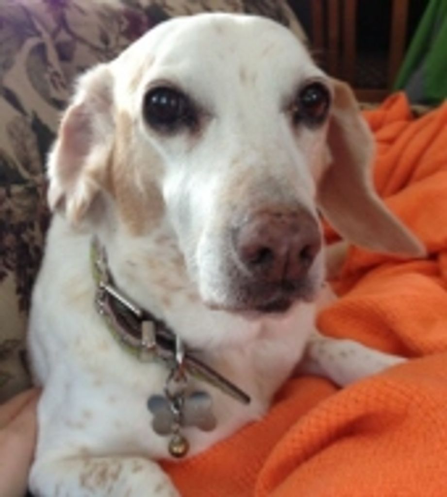 Dorothy Keiser Profile Photo