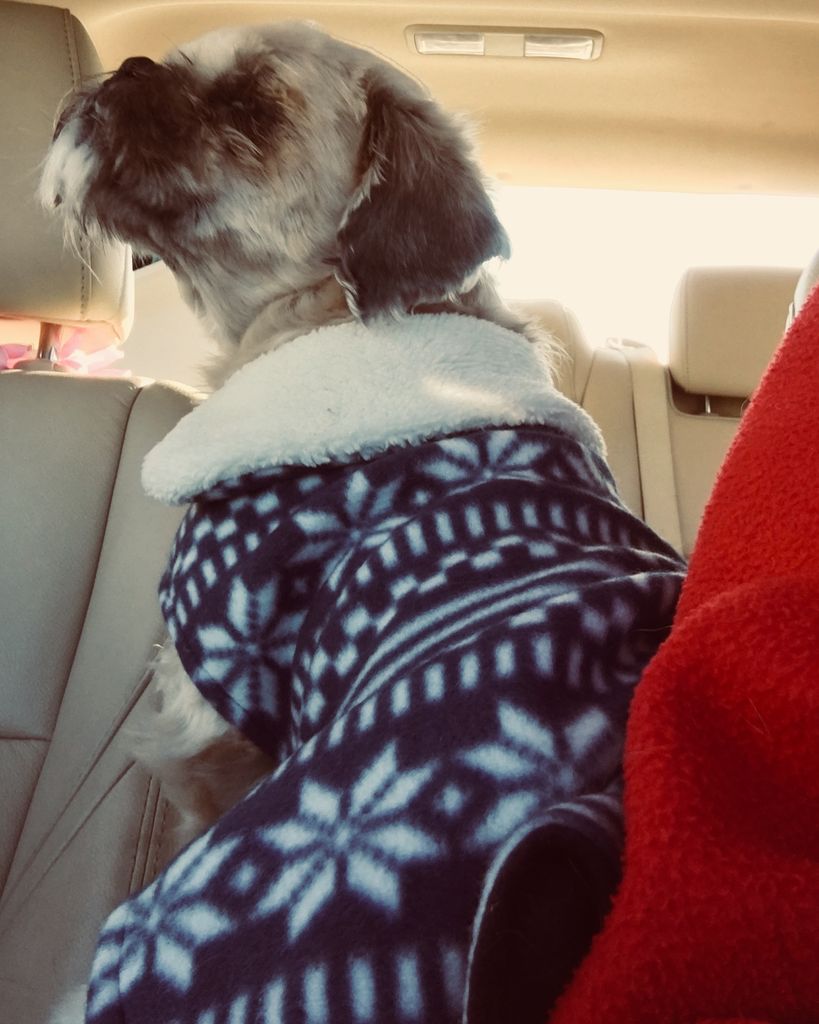 Little Man Russo