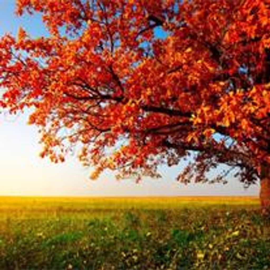 Margaret Ann Johnson Profile Photo