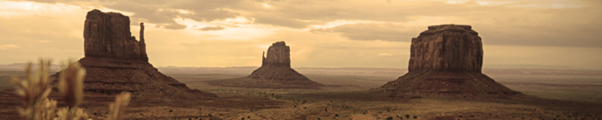 Cover for Mary Ann Nez's Obituary