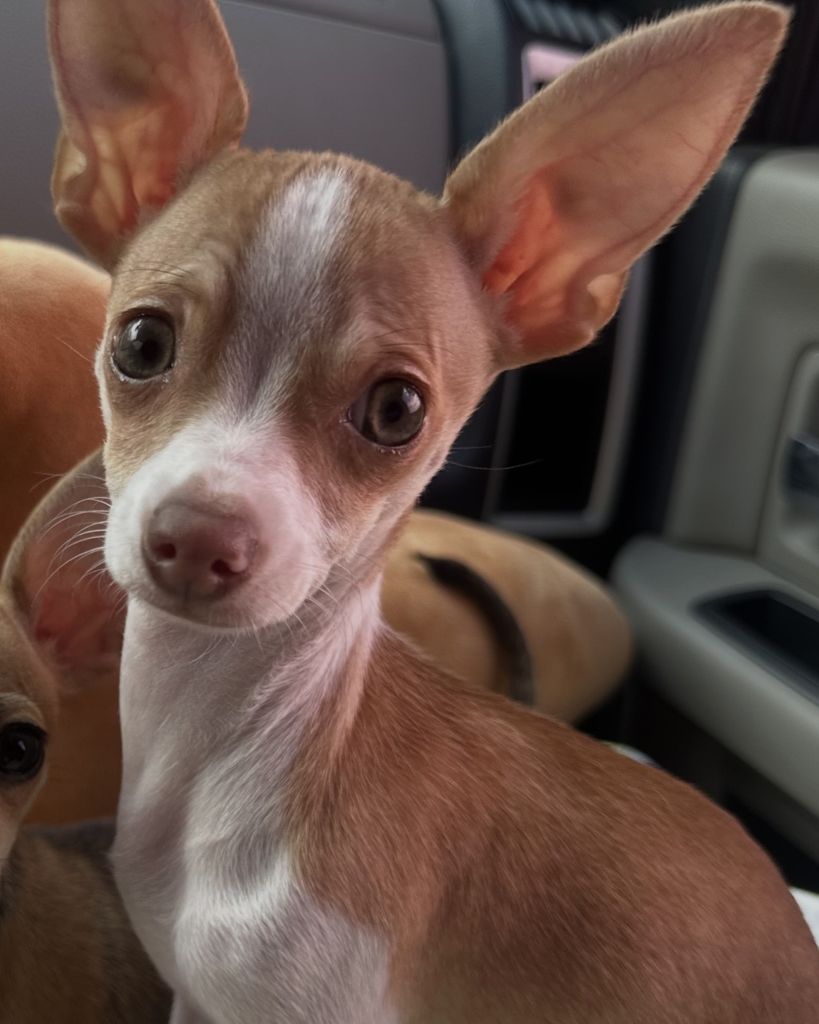 Pancho Kiko Leal Profile Photo