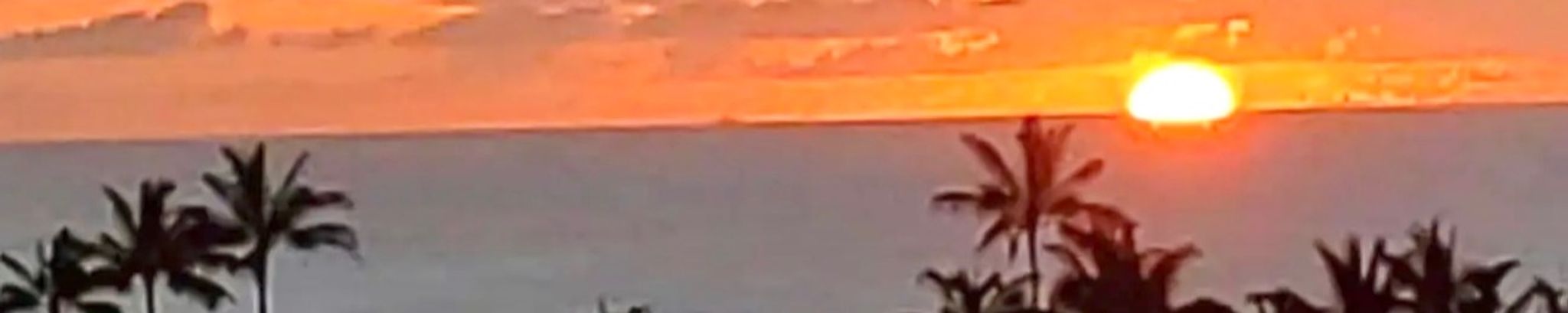 Cover for Shari Lynn Gordon's Obituary