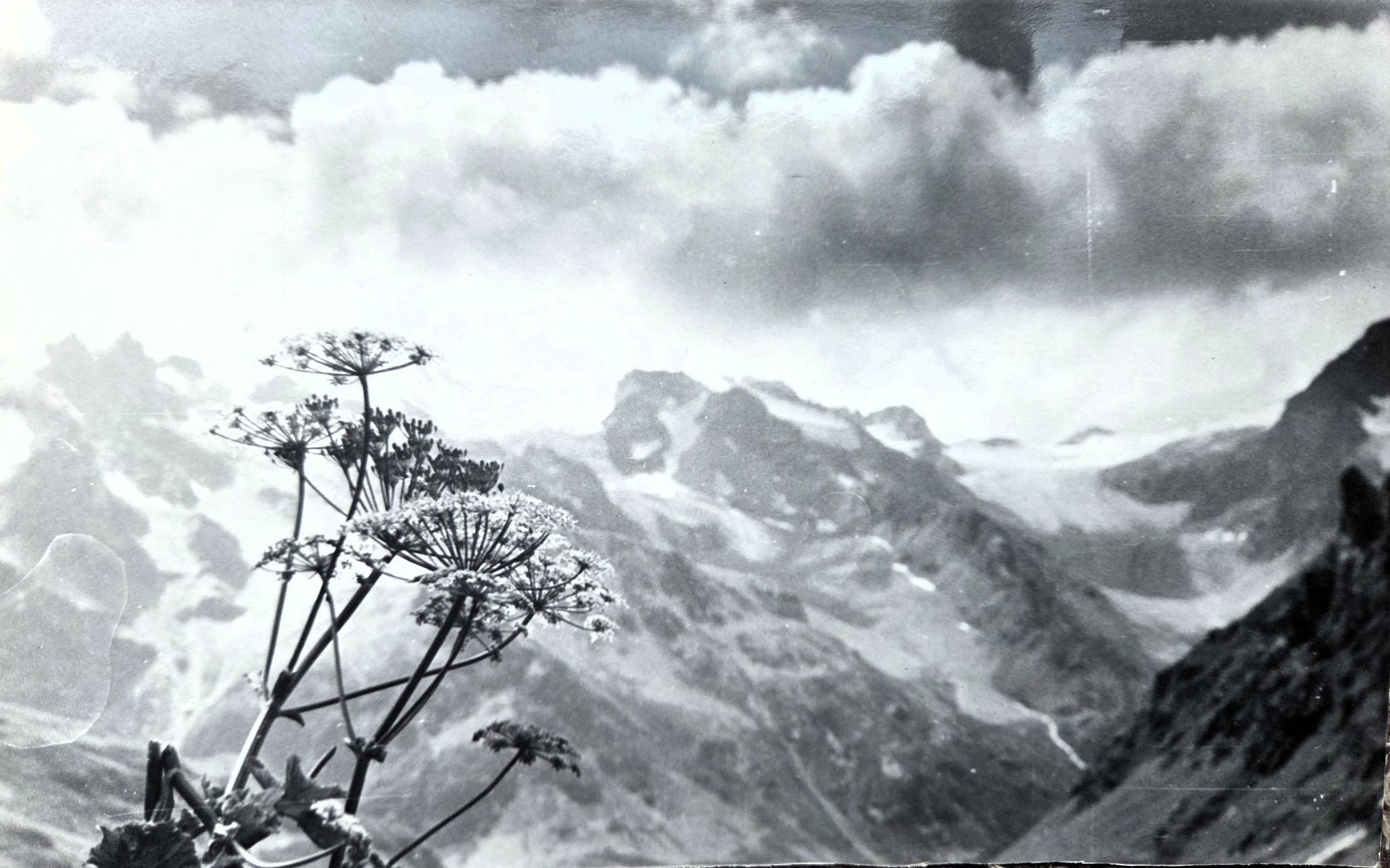 Cover for Yuri Heifets's Obituary
