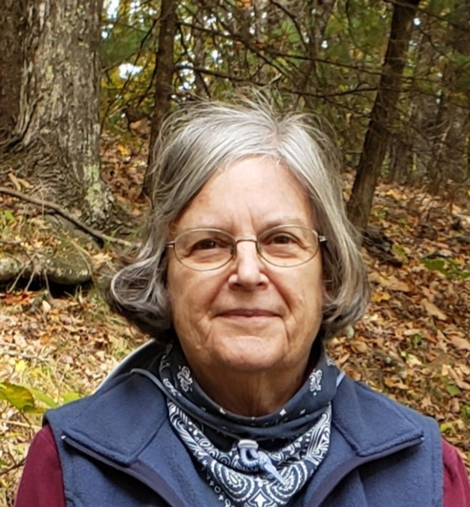 Sue Ann (Castleman)  Zitnick Profile Photo