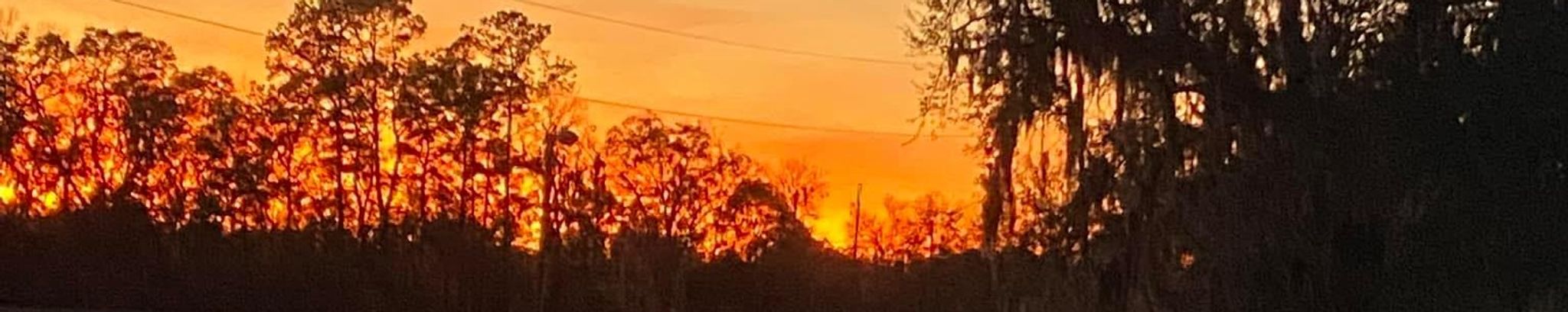 Cover for Virginia Bronease Dampier's Obituary