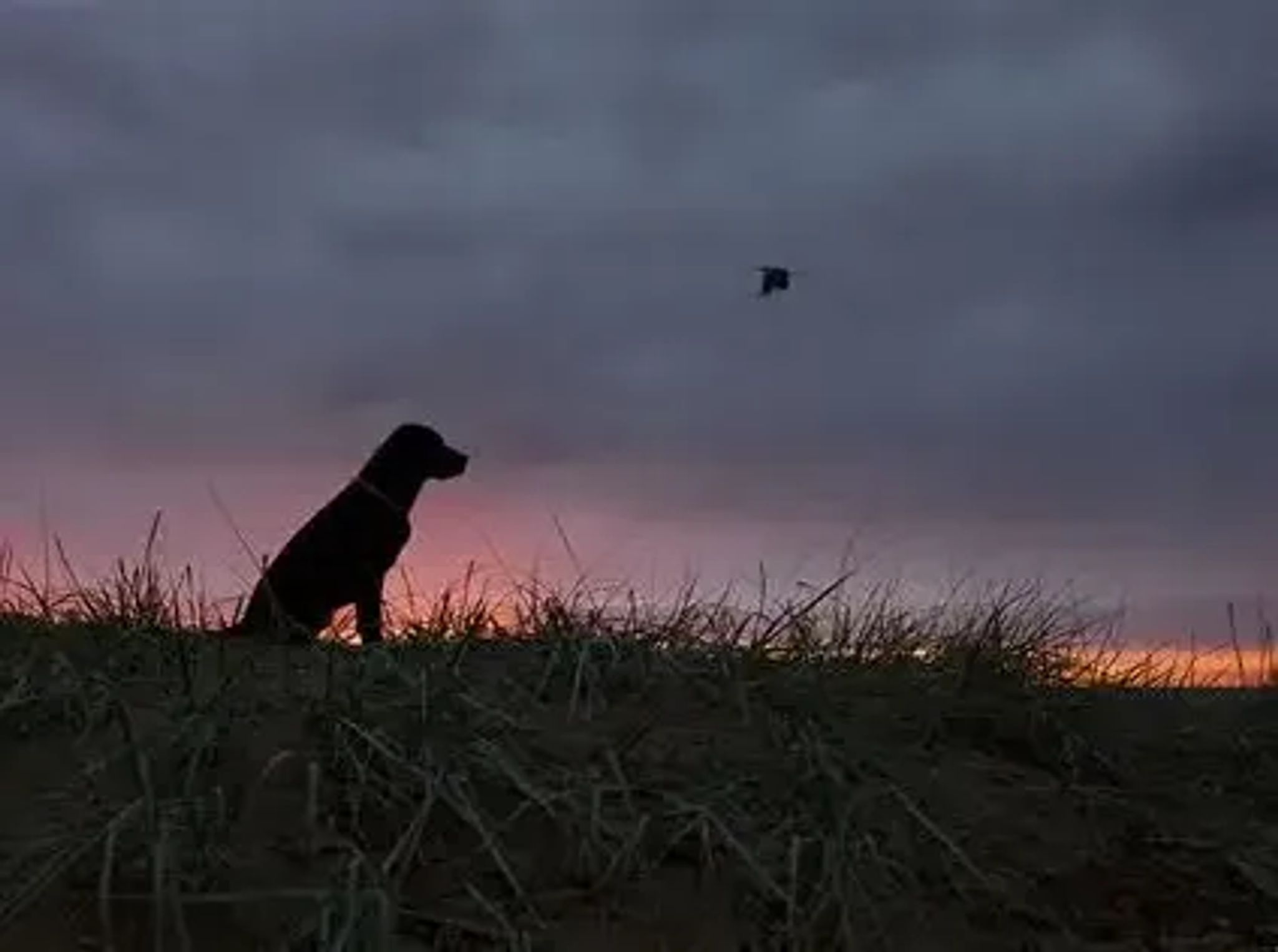 Cover for Shannon Marie Kelleher's Obituary