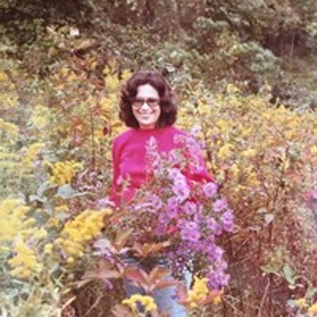 Donna Jean Schmidt Profile Photo