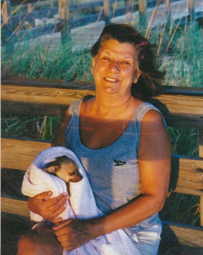 Joan Ann Meyers Montileone Profile Photo