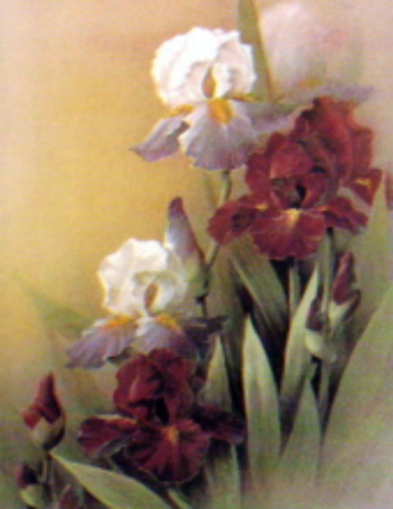 Lillie  Marie Yates