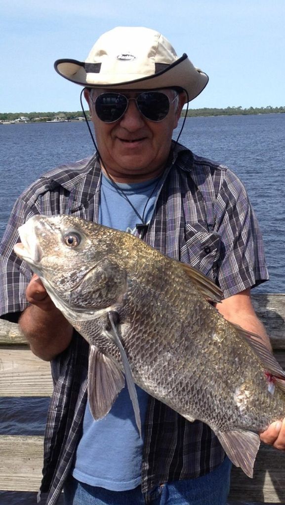 George Edward Williams Profile Photo