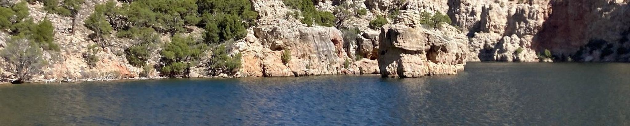 Cover for Hal G. Williamson's Obituary